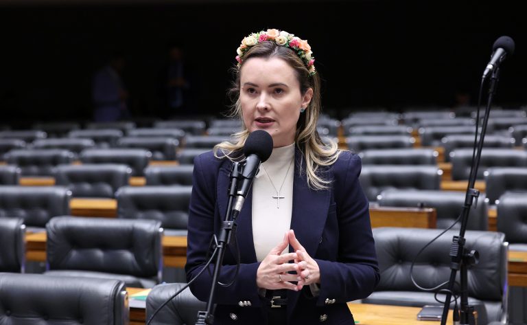 Discussão e votação de propostas legislativas. Dep. Julia Zanatta (PL-SC)