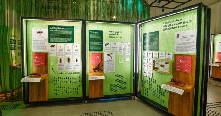 Exposição no Museu de Zoologia explora a grandiosidade da Amazônia a partir das pequenas espécies
