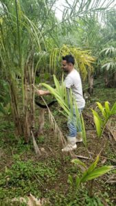 Regularização ambiental avança no campo paulista e impulsiona produção sustentável