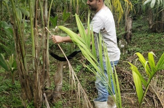 Regularização ambiental avança no campo paulista e impulsiona produção sustentável