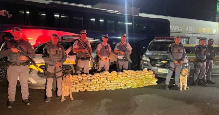 PM Rodoviária apreende quase 100 kg de skunk em Presidente Prudente