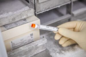 Vacina da gripe: entenda como acontece a vigilância do vírus influenza e a escolha das cepas do imunizante