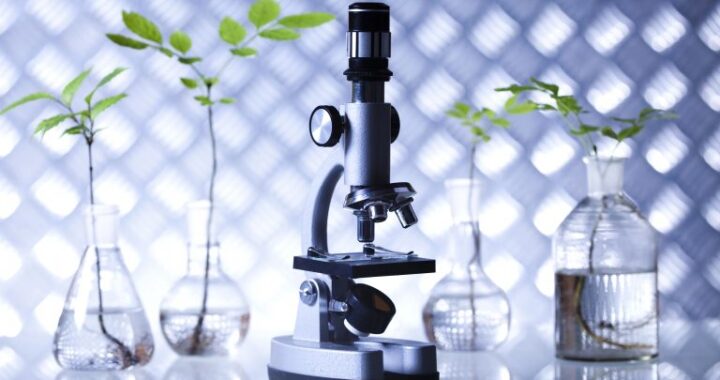 Audiência na Câmara discute pesquisas em agricultura espacial