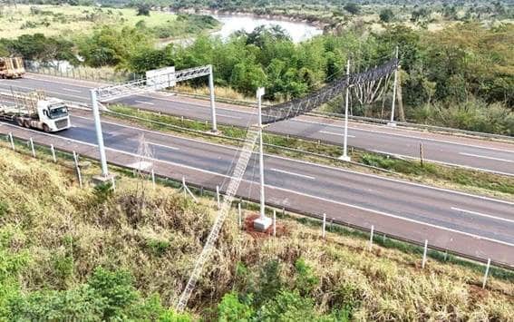 Rodovia de Ribeirão Preto ganha passagem aérea para travessia segura de animais silvestres