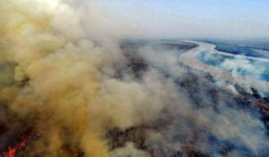 Medida provisória destina recursos para prevenção de incêndios florestais
