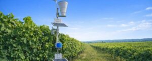 Startup apoiada pela Fapesp usa inteligência de dados para antecipar falta de água no campo