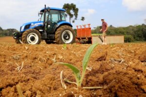 Medida provisória cria linhas de crédito para produtores rurais afetados pelo clima e pela queda de preços