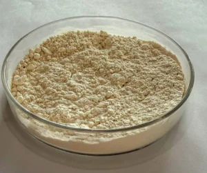 Como pesquisadores transformam o feijão carioca em ingrediente proteico de alto valor