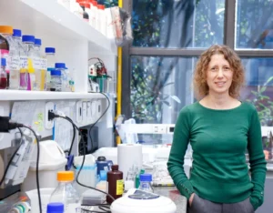Entenda o estudo que propõe alternativa mais segura para reposição hormonal na menopausa