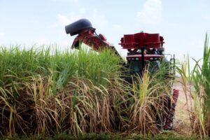 Para Motta, subvenção aos produtores de cana é conquista importante para o Nordeste