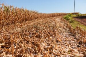 Nova medida provisória destina mais R$ 360 milhões para enfrentamento das consequências de desastres climáticos