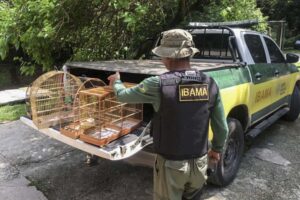 Projeto cria mecanismos para combater tráfico internacional de animais e maus-tratos