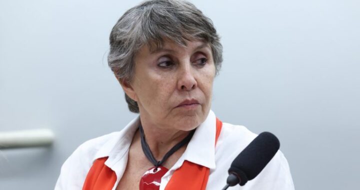 Comissão de Constituição e Justiça aprova proposta que cria estado civil de convivente