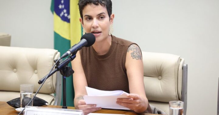 Observatório Nacional da Mulher na Política completa cinco anos e mostra acervo de pesquisas