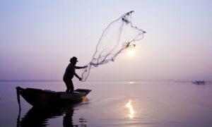 Comissão debate impactos da moratória da pesca da piracatinga na Região Amazônica