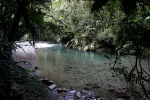 Turismo de natureza: veja roteiros com trilhas, parques e ecoturismo