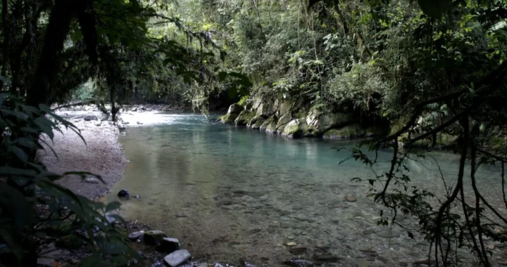 Turismo de natureza: veja roteiros com trilhas, parques e ecoturismo