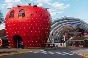 Nova lei cria rota turística entre Porto Alegre e Serra Gaúcha