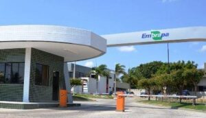 Projeto estende a institutos estaduais de pesquisa agropecuária a isenção de taxas já concedida à Embrapa