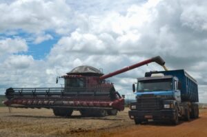 Projeto regulamenta perdimento de veículos e cargas em infrações à defesa agropecuária federal