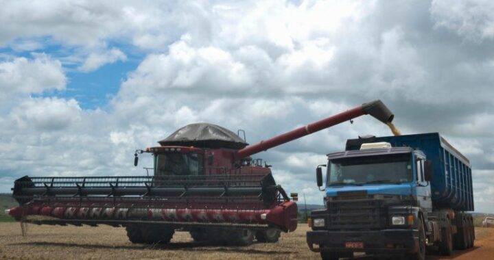 Projeto regulamenta perdimento de veículos e cargas em infrações à defesa agropecuária federal