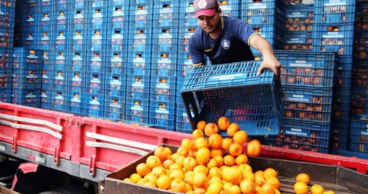 Projeto prioriza armazenagem de hortifrutis em programas federais de infraestrutura