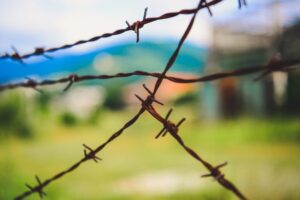 Projeto tipifica terrorismo rural e sabotagem agropecuária