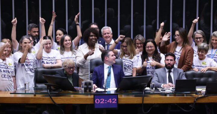 Lei regulamenta exercício da psicopedagogia com veto a requisitos de formação