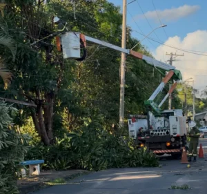 Defesa Civil de SP mobiliza força-tarefa pela primeira vez na Operação El Niño